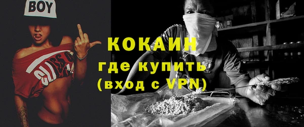тгк Абаза