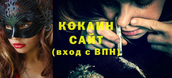 тгк Абаза